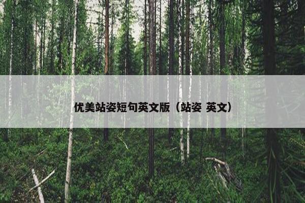 优美站姿短句英文版（站姿 英文）