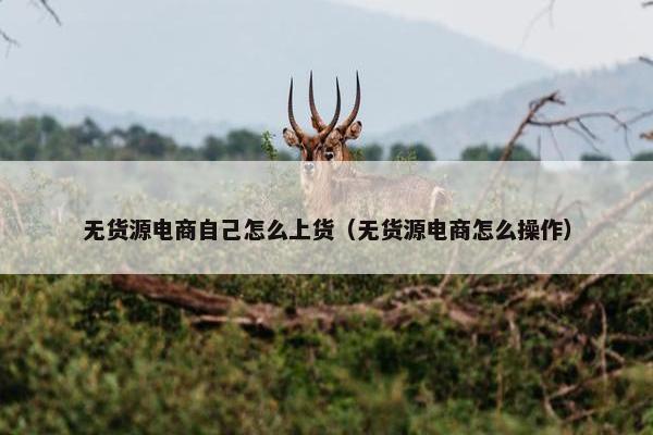 无货源电商自己怎么上货（无货源电商怎么操作）
