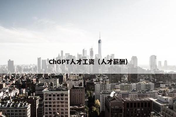 ChGPT人才工资（人才薪酬）