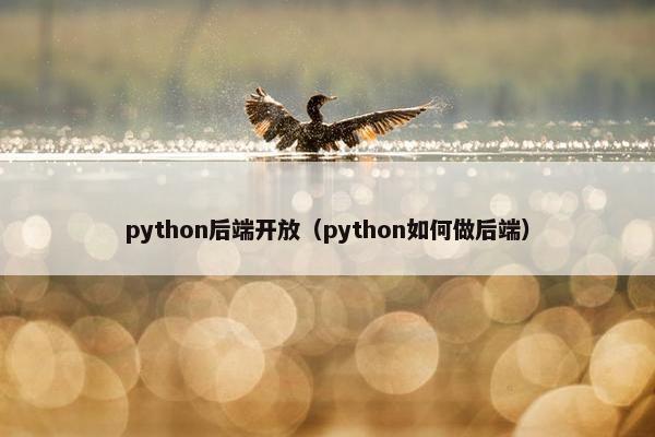 python后端开放（python如何做后端）