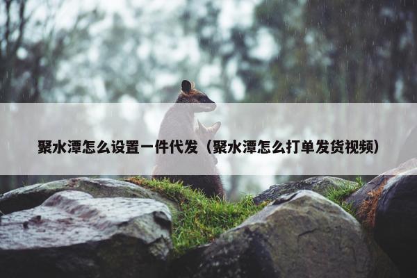 聚水潭怎么设置一件代发（聚水潭怎么打单发货视频）