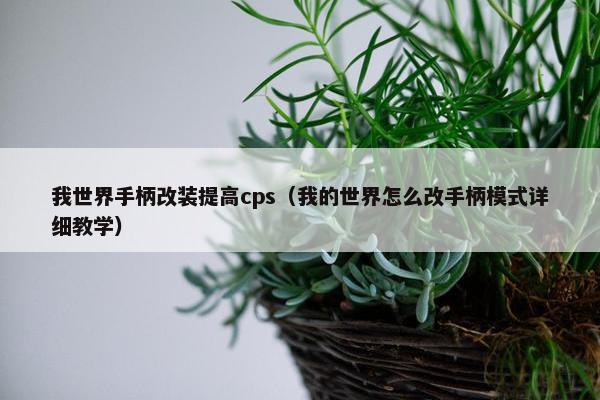 我世界手柄改装提高cps（我的世界怎么改手柄模式详细教学）