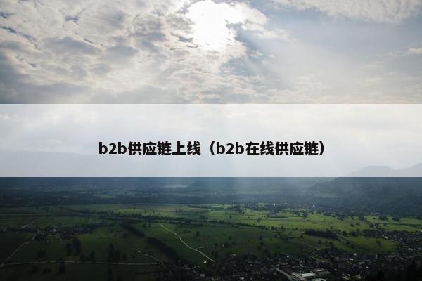 b2b供应链上线（b2b在线供应链）