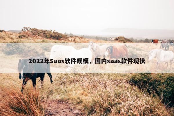 2022年Saas软件规模，国内saas软件现状