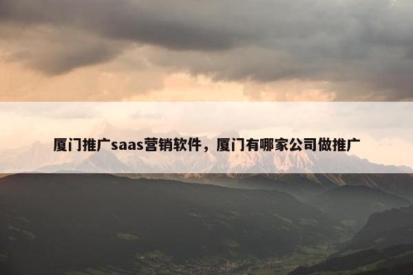 厦门推广saas营销软件，厦门有哪家公司做推广