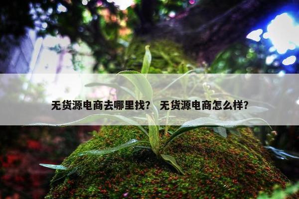无货源电商去哪里找？ 无货源电商怎么样？