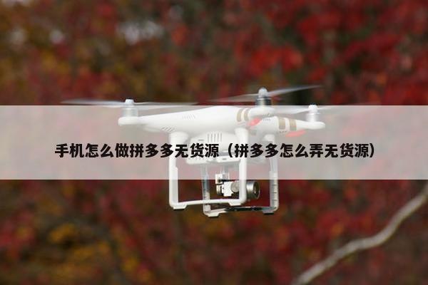 手机怎么做拼多多无货源（拼多多怎么弄无货源）