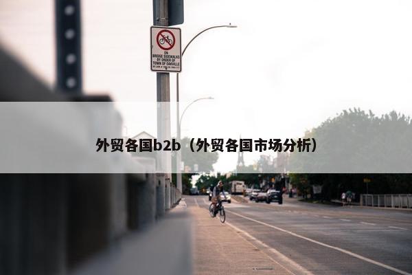 外贸各国b2b（外贸各国市场分析）