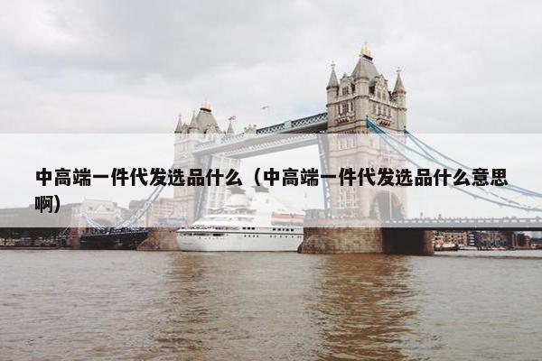 中高端一件代发选品什么（中高端一件代发选品什么意思啊）