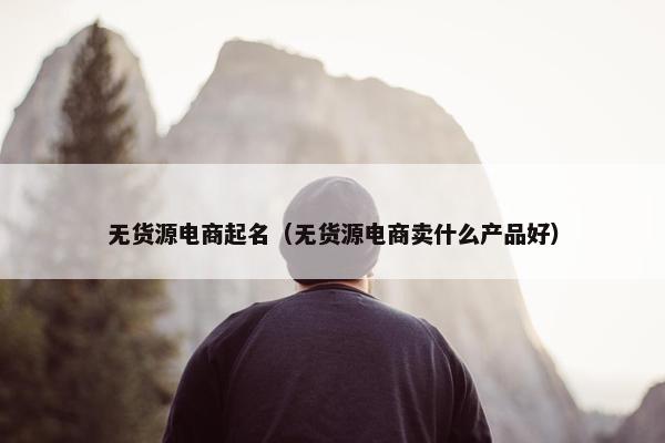 无货源电商起名（无货源电商卖什么产品好）