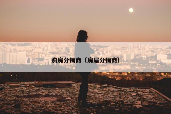 购房分销商（房屋分销商）