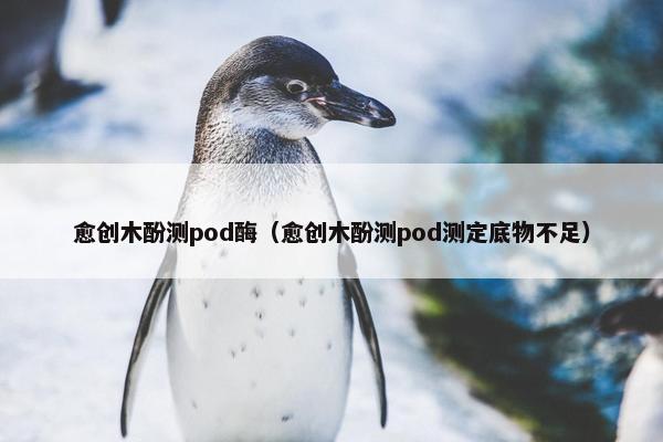 愈创木酚测pod酶（愈创木酚测pod测定底物不足）