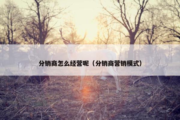 分销商怎么经营呢（分销商营销模式）