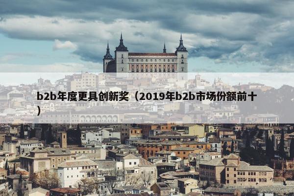 b2b年度更具创新奖（2019年b2b市场份额前十）
