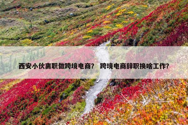 西安小伙离职做跨境电商？ 跨境电商辞职换啥工作？