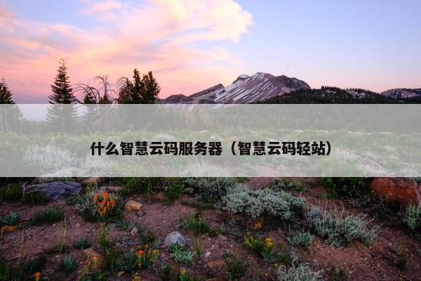 什么智慧云码服务器（智慧云码轻站）