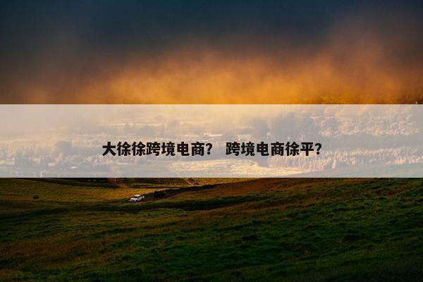 大徐徐跨境电商？ 跨境电商徐平？