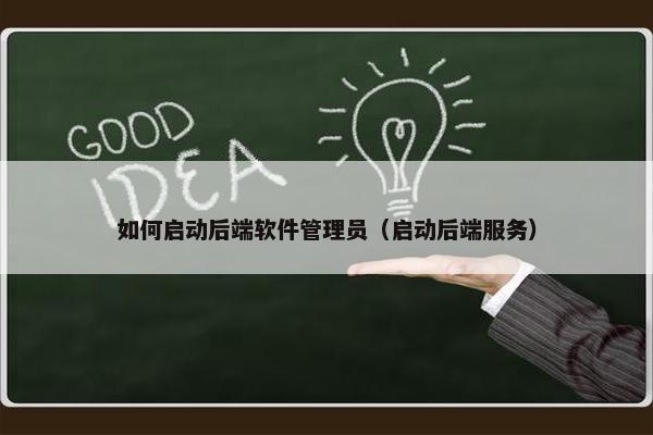 如何启动后端软件管理员（启动后端服务）