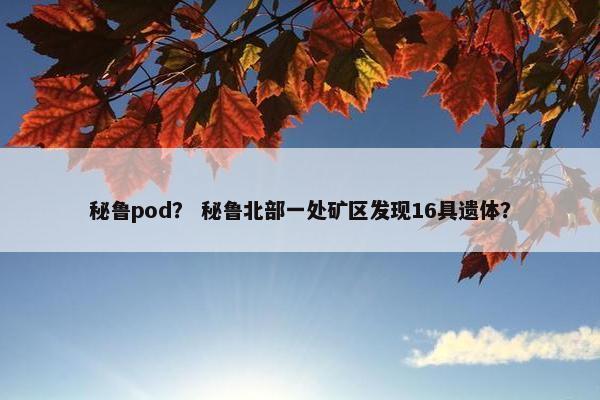 秘鲁pod？ 秘鲁北部一处矿区发现16具遗体？