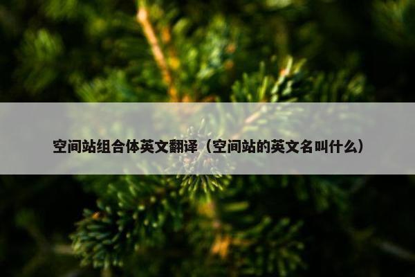 空间站组合体英文翻译（空间站的英文名叫什么）