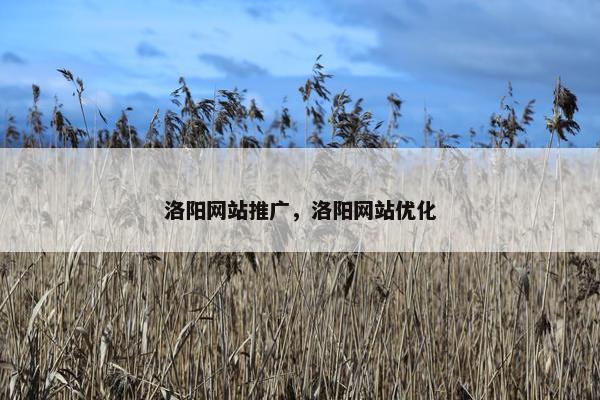 洛阳网站推广，洛阳网站优化