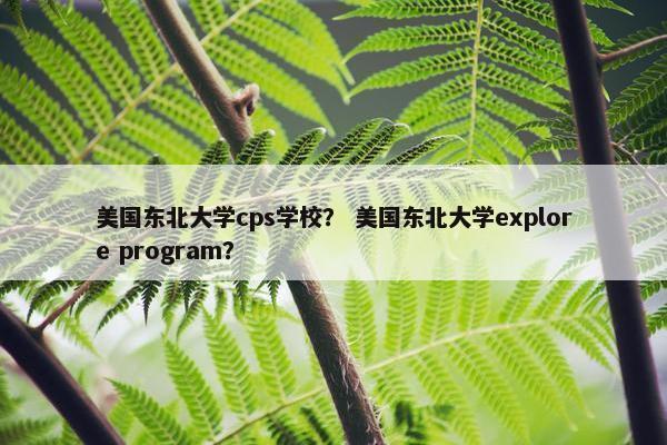 美国东北大学cps学校？ 美国东北大学explore program？