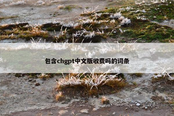 包含chgpt中文版收费吗的词条