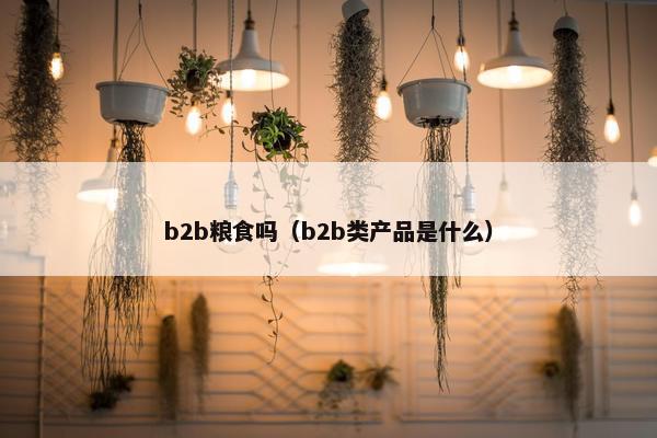 b2b粮食吗（b2b类产品是什么）