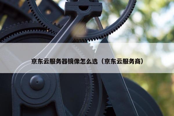 京东云服务器镜像怎么选（京东云服务商）