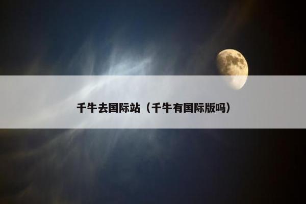 千牛去国际站（千牛有国际版吗）