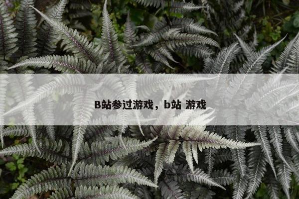 B站参过游戏，b站 游戏