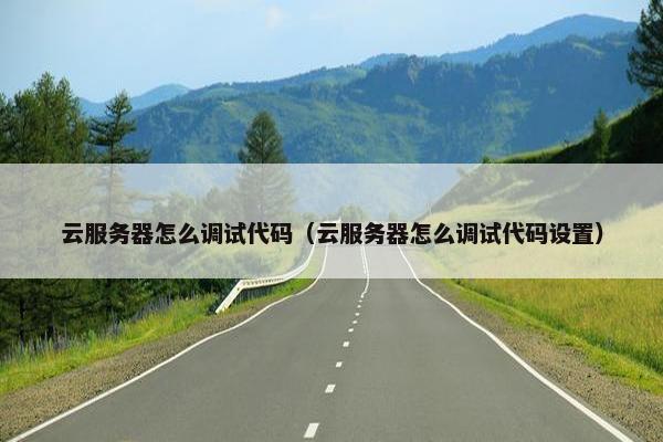 云服务器怎么调试代码（云服务器怎么调试代码设置）