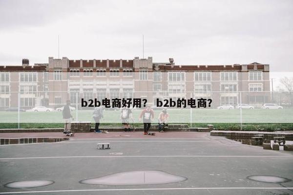 b2b电商好用？ b2b的电商？
