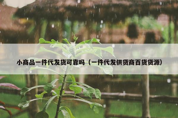 小商品一件代发货可靠吗（一件代发供货商百货货源）