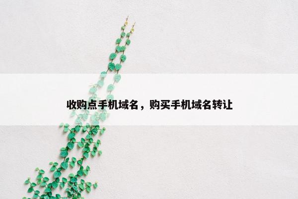 收购点手机域名，购买手机域名转让