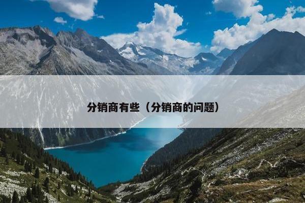 分销商有些（分销商的问题）