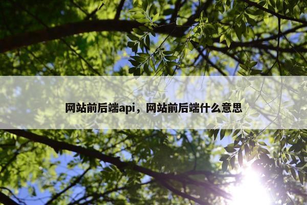 网站前后端api，网站前后端什么意思