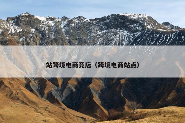 站跨境电商竞店（跨境电商站点）