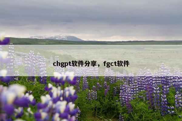 chgpt软件分享，fgct软件