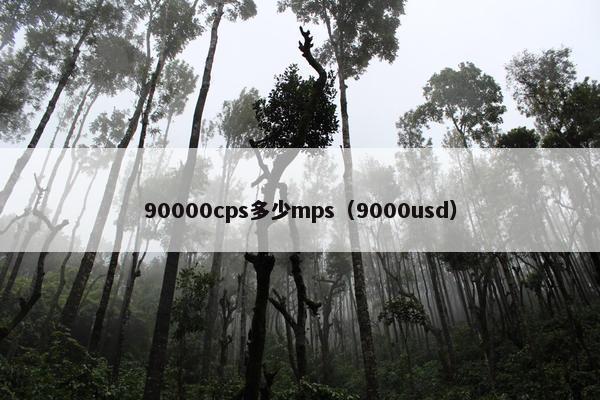90000cps多少mps（9000usd）