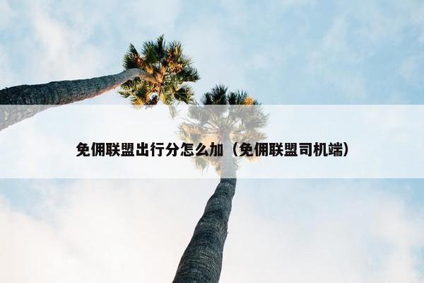 免佣联盟出行分怎么加（免佣联盟司机端）