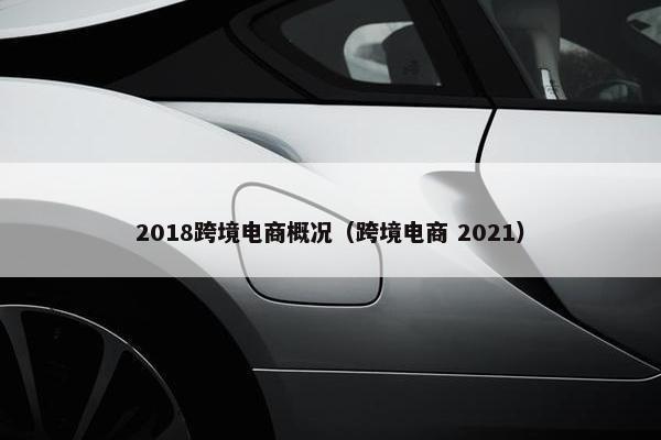 2018跨境电商概况（跨境电商 2021）