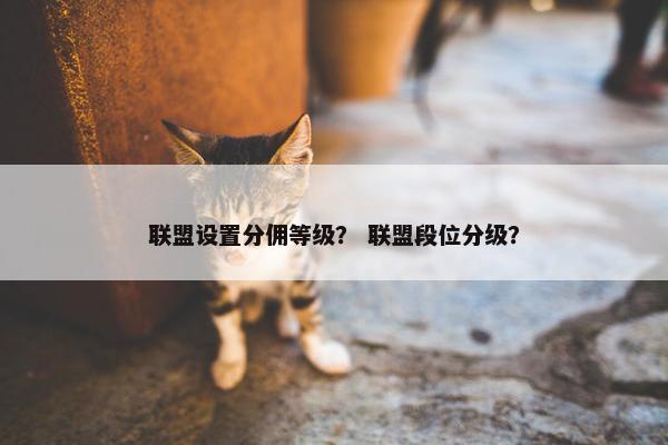 联盟设置分佣等级？ 联盟段位分级？