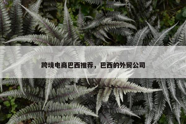 跨境电商巴西推荐，巴西的外贸公司