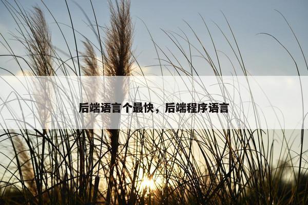 后端语言个最快，后端程序语言