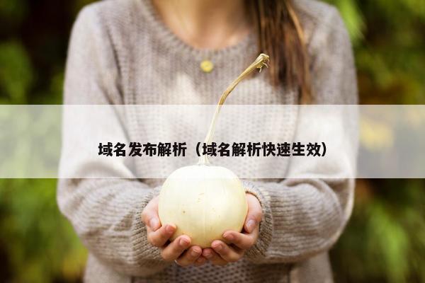 域名发布解析（域名解析快速生效）