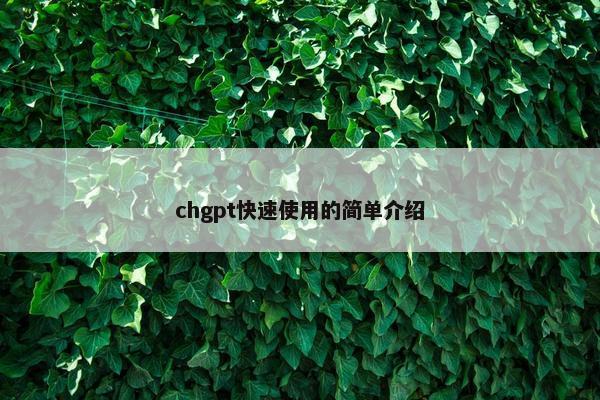 chgpt快速使用的简单介绍