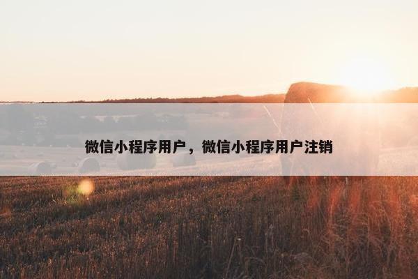 微信小程序用户，微信小程序用户注销