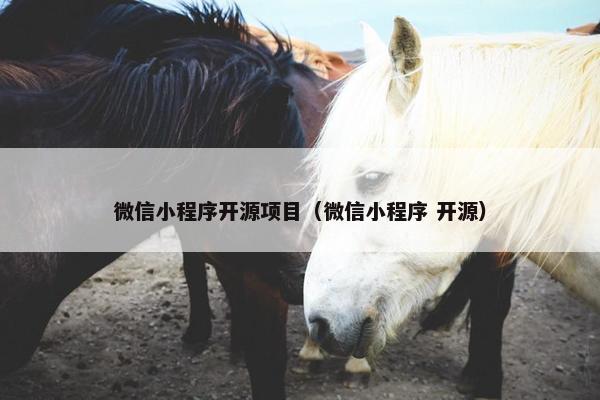 微信小程序开源项目（微信小程序 开源）