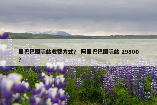 里巴巴国际站收费方式？ 阿里巴巴国际站 29800？